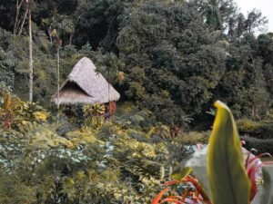 3 semaines en Polynésie, itinéraire dans l’archipel de la société